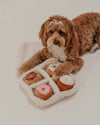 By Teddy Donut Selection Box Dog Toy-Dog Toy-By Teddy- Silver Circle Pets