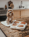 By Teddy Donut Selection Box Dog Toy-Dog Toy-By Teddy- Silver Circle Pets