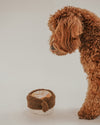 By Teddy Flat White Coffee Cup Dog Toy-Dog Toy-By Teddy- Silver Circle Pets