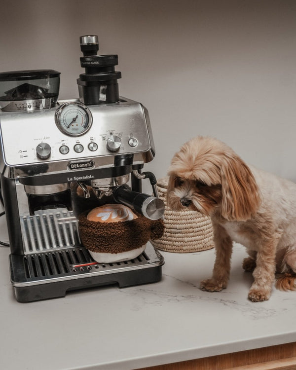By Teddy Flat White Coffee Cup Dog Toy-Dog Toy-By Teddy- Silver Circle Pets