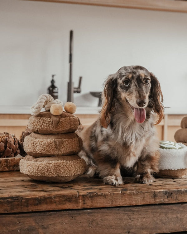 By Teddy Maple Pancake Stack Dog Toy-Dog Toy-By Teddy- Silver Circle Pets