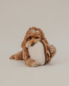 By Teddy Pecan Pie Dog Toy-Dog Toy-By Teddy- Silver Circle Pets