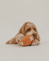 By Teddy Pistachio Croissant Dog Toy-Dog Toy-By Teddy- Silver Circle Pets