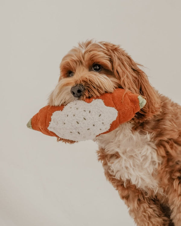 By Teddy Pistachio Croissant Dog Toy-Dog Toy-By Teddy- Silver Circle Pets