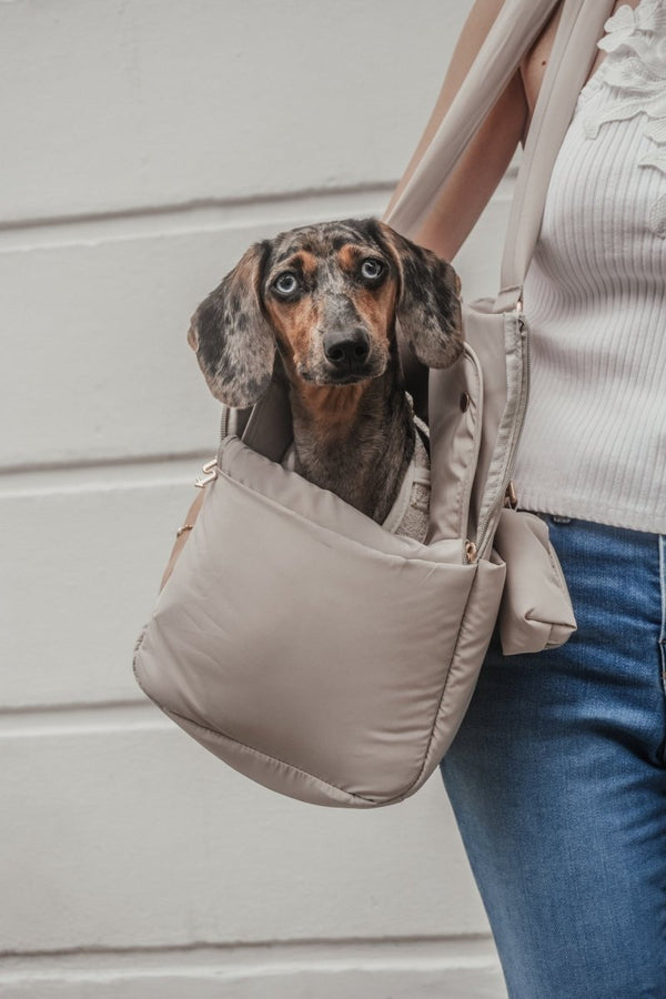 By Teddy Puffer Dog Carrier | 2-in-1-Dog Carrier-By Teddy- Silver Circle Pets
