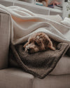 By Teddy The Bouclé Blanket-Dog Blanket-By Teddy- Silver Circle Pets