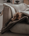 By Teddy The Bouclé Blanket-Dog Blanket-By Teddy- Silver Circle Pets