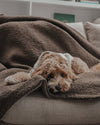 By Teddy The Bouclé Blanket-Dog Blanket-By Teddy- Silver Circle Pets
