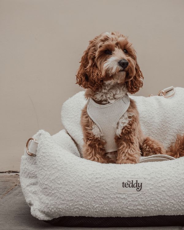 By Teddy The Bouclé Dog Car Seat-Dog Car Seat-By Teddy- Silver Circle Pets