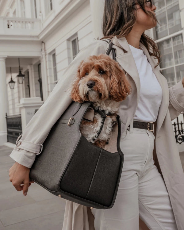 By Teddy The Studio Pet Carrier | Premium Vegan Leather Dog Carrier-Pet Carrier-By Teddy- Silver Circle Pets