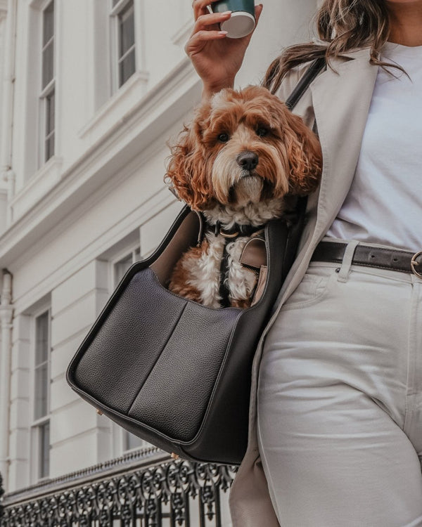 By Teddy The Studio Pet Carrier | Premium Vegan Leather Dog Carrier-Pet Carrier-By Teddy- Silver Circle Pets