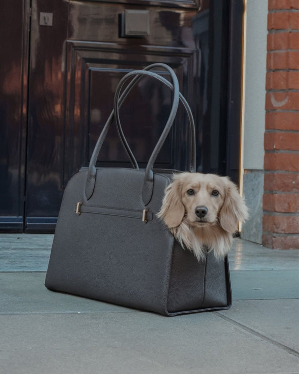 By Teddy The Studio Pet Carrier | Premium Vegan Leather Dog Carrier-Pet Carrier-By Teddy- Silver Circle Pets