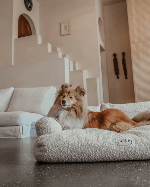 By Teddy The Teddington Sofa Dog Bed | Bouclé-Pet Bed-By Teddy- Silver Circle Pets