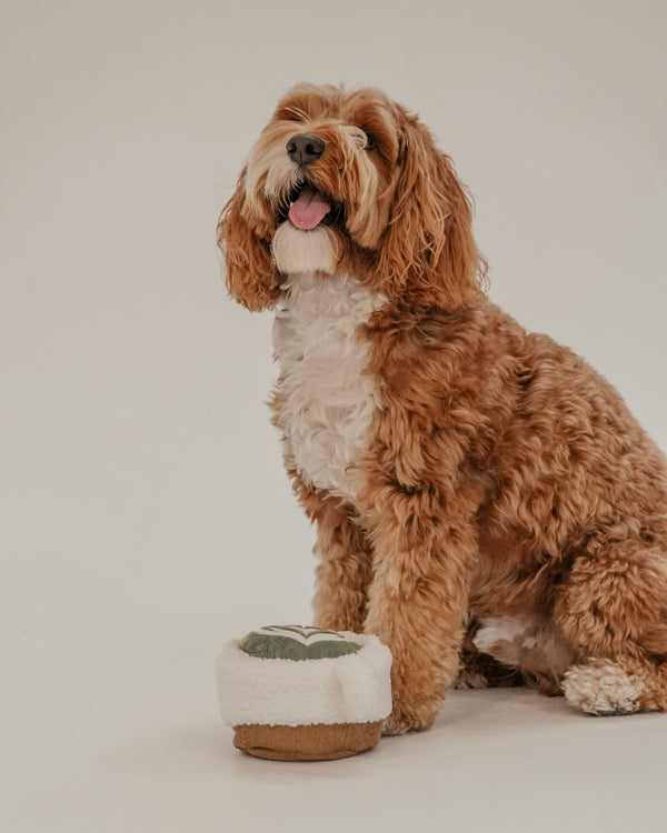 By Teddy Matcha Coffee Cup Dog Toy