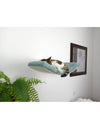 Cat's Atelier Cat Shelf | The Arcing Haven 60 cm
