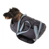Doctor Bark Padded Pet Carrier | Airline Approved-Pet Carrier-Doctor Bark- Silver Circle Pets