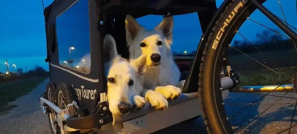 Doggy Tourer Beethoven XL 4-Wheel Dog Bike Trailer-Dog Bike Trailer-Doggy Tourer- Silver Circle Pets