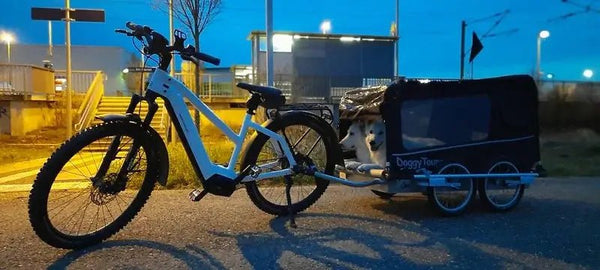 Doggy Tourer Beethoven XL 4-Wheel Dog Bike Trailer-Dog Bike Trailer-Doggy Tourer- Silver Circle Pets