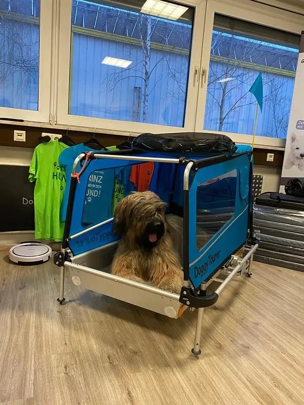 Doggy Tourer Beethoven XL Dog Bike Trailer-Dog Bike Trailer-Doggy Tourer- Silver Circle Pets
