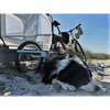 Doggy Tourer Marley Large Dog Bike Trailer-Dog Bike Trailer-Doggy Tourer- Silver Circle Pets