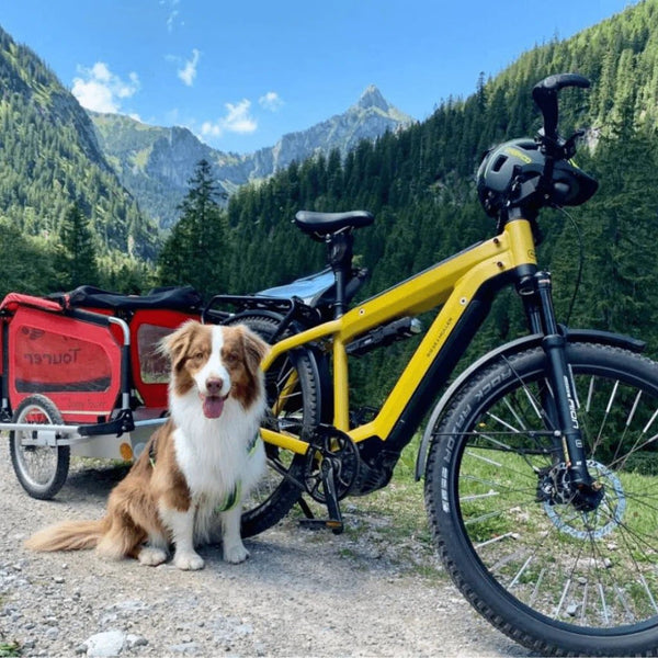Doggy Tourer Snoopy Medium Dog Bike Trailer-Dog Bike Trailer-Doggy Tourer- Silver Circle Pets