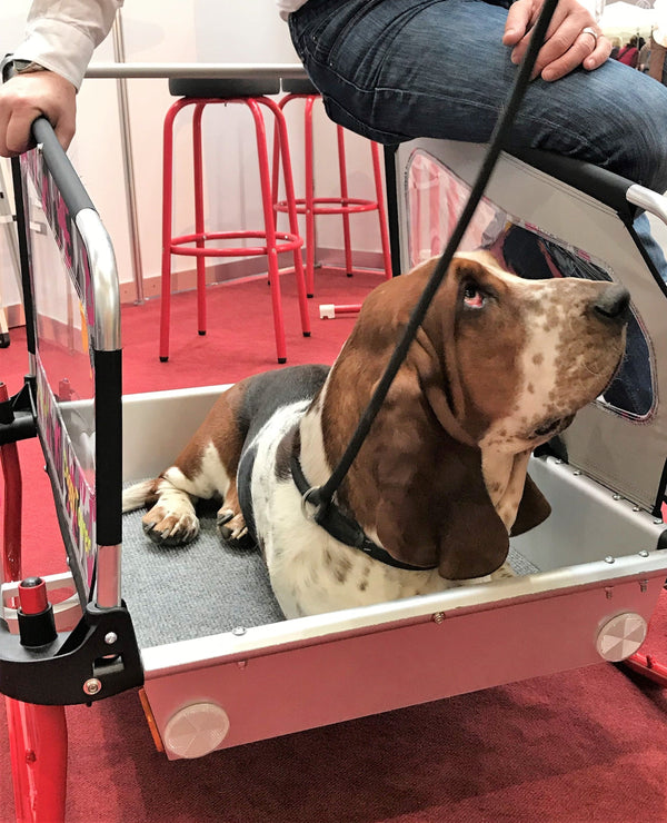 Doggy Tourer Snoopy Medium Dog Bike Trailer-Dog Bike Trailer-Doggy Tourer- Silver Circle Pets