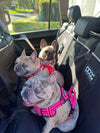 DOOG Dog Car Seat Cover | Rear Bench Seat | Large-Dog Car Seat-DOOG- Silver Circle Pets