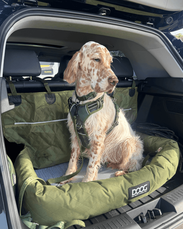 DOOG Dog Car Seat - Large-Dog Car Seat-DOOG- Silver Circle Pets