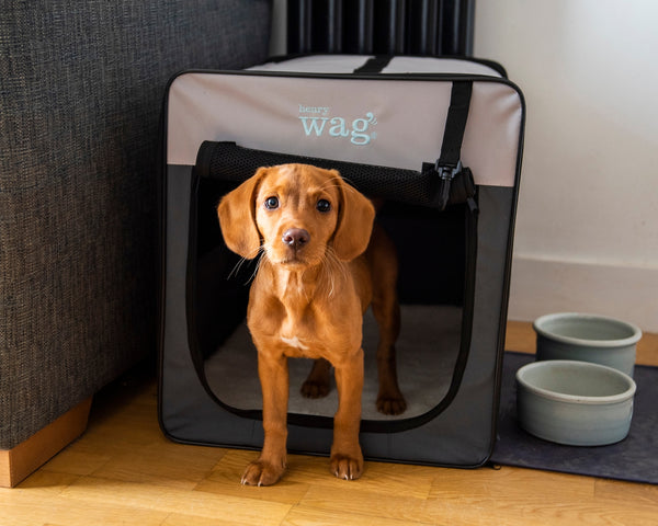 Henry Wag Folding Fabric Travel Pet Crate | 5 Sizes