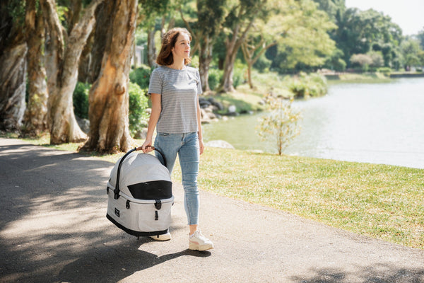 FikaGO Flytta Plus Detachable Pet Stroller | 3-in-1 Pet Travel System-Pet Strollers-FikaGo- Silver Circle Pets