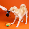 Fringe Studio Oh My Gourd! | 2-Piece Plush Dog Toy Set-Dog Toy-Fringe Studio- Silver Circle Pets