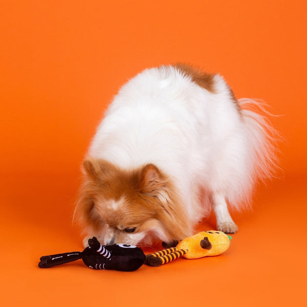 Fringe Studio Oh My Gourd! | 2-Piece Plush Dog Toy Set-Dog Toy-Fringe Studio- Silver Circle Pets