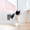 Hoopo Dome Cat Litter Box-Cat Litter Box-Hoopo- Silver Circle Pets