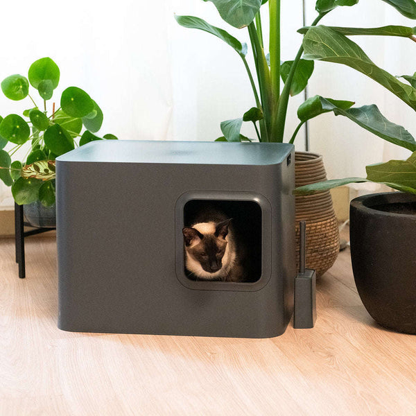 Hoopo Dome Cat Litter Box-Cat Litter Box-Hoopo- Silver Circle Pets