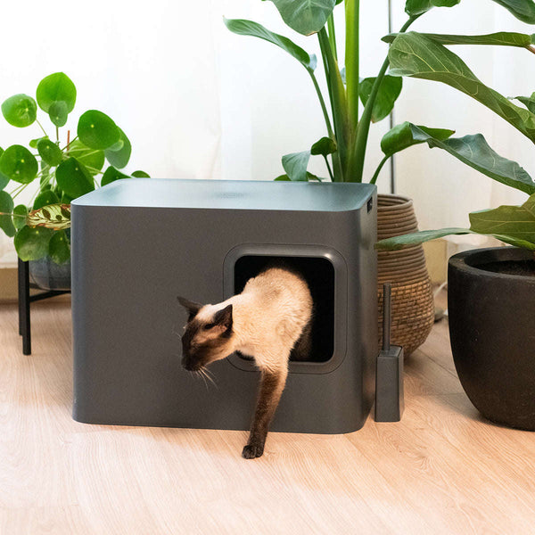 Hoopo Dome Cat Litter Box-Cat Litter Box-Hoopo- Silver Circle Pets