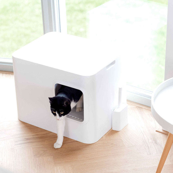 Hoopo Dome Cat Litter Box-Cat Litter Box-Hoopo- Silver Circle Pets