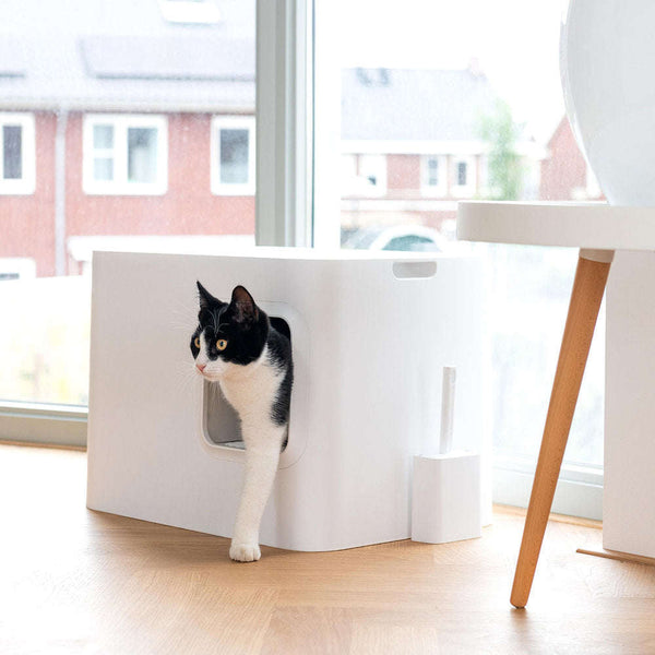 Hoopo Dome Cat Litter Box-Cat Litter Box-Hoopo- Silver Circle Pets