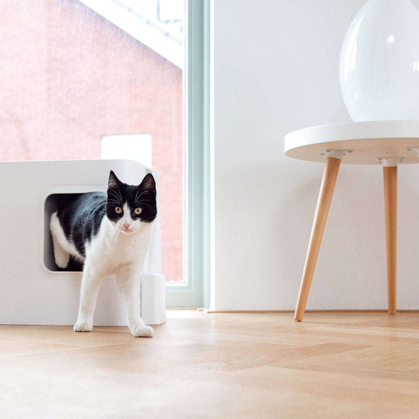 Hoopo Dome Cat Litter Box-Cat Litter Box-Hoopo- Silver Circle Pets