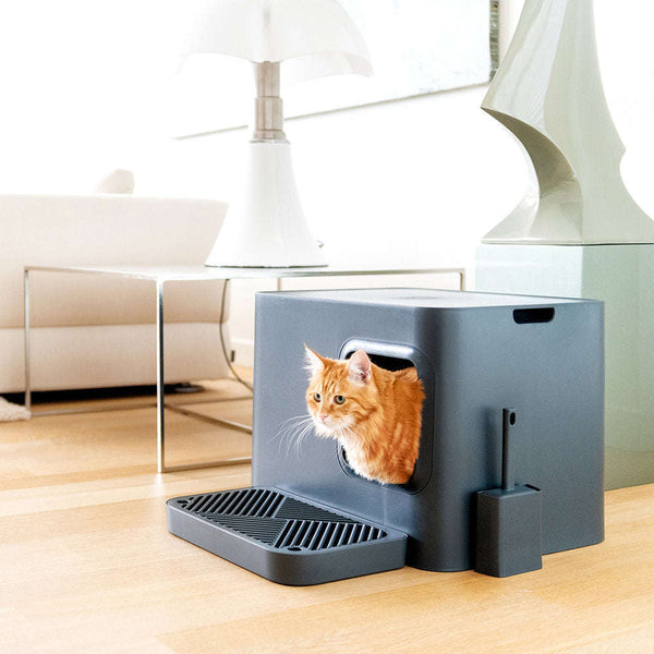 Hoopo Dome Plus Cat Litter Box-Cat Litter Box-Hoopo- Silver Circle Pets