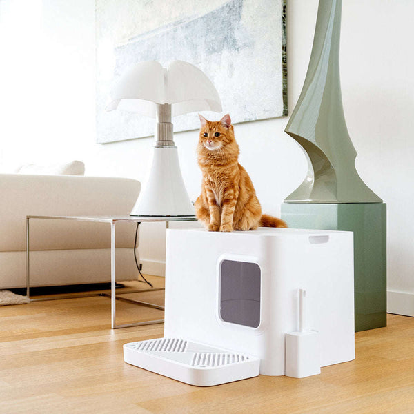 Hoopo Dome Plus Cat Litter Box-Cat Litter Box-Hoopo- Silver Circle Pets