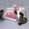 Hoopo Tofu Baby Powder Cat Litter | 7L, 17L-Cat Litter-Hoopo- Silver Circle Pets