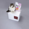 Hoopo Tofu Baby Powder Cat Litter | 7L, 17L-Cat Litter-Hoopo- Silver Circle Pets