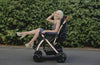 HPZ Pet Rover XL Stroller | Extra-Long Expandable-Pet Strollers-HPZ Pet Rover- Silver Circle Pets