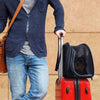 Ibiyaya Flying Pal Foldable Pet Travel Carrier | Airline-Approved-Pet Carrier-Ibiyaya- Silver Circle Pets