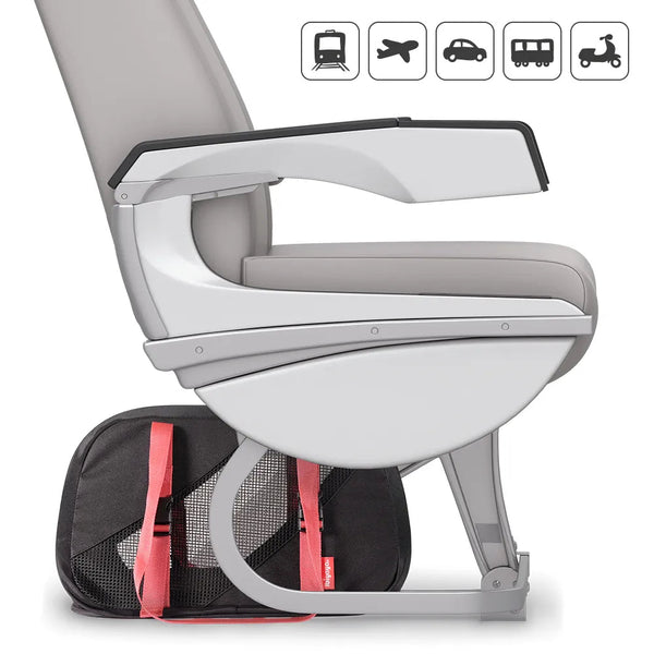 Ibiyaya Flying Pal Foldable Pet Travel Carrier | Airline-Approved-Pet Carrier-Ibiyaya- Silver Circle Pets
