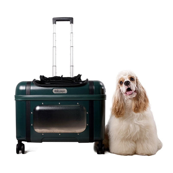 Ibiyaya Lavada Wheeled Pet Carrier | Airline-Approved