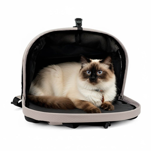 Ibiyaya Panorama Pet Carrier | Airline-Approved-Pet Carrier-Ibiyaya- Silver Circle Pets