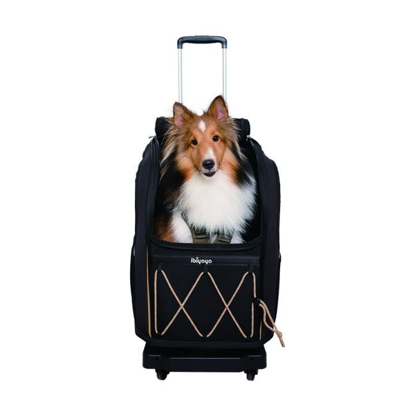 Ibiyaya Pet Carrier Folding 4 Wheel Trolley-Pet Carrier-Ibiyaya- Silver Circle Pets