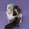 Hoopo Tofu Fine Cat Litter | 7L