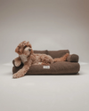 By Teddy The Teddington Sofa Dog Bed | Bouclé